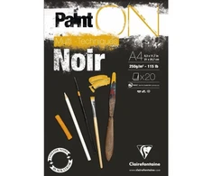 Clairefontaine Paint-On Blok A4 250 gramų 20 lapų rūšiuotas popierius, daugiafunkcis, su viršutiniu sluoksniu