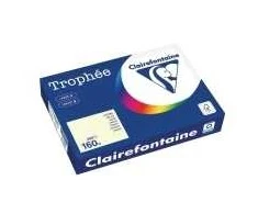 Clairefontaine Trophée, kopijavimo popierius, A4 (210 x 297 mm), 160 g/m², smėlio spalvos