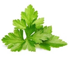 Click And Grow „Click &amp; Grow“ kalendra/kalendra, valgomasis augalas, kalendra, papildymas, greitai auganti (3–5 savaitės), 7–14 dienų, 1–2 mėnesiai