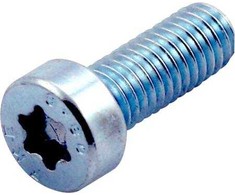 CUBIC 100 vnt. cilindrinių varžtų, torx, plokščia galvute