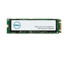 Dysk serwerowy Dell 1TB PCI-E x4 Gen 4 NVMe (9H.LLSLJ.LBE)