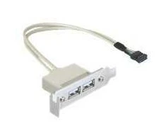 DELOCK Slotblech – USB 2.0 2x prievadas žemo profilio