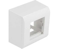 Delock paviršiuje montuojamas korpusas Easy 45 moduliams 82 x 82 mm, baltas
