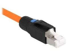 Delock RJ45 kištuko lauko mazgas Cat.6A