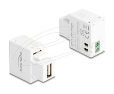 Delock Keystone Modulis su gniazdem USB Typ-A 5 W balta