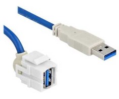 Delock Keystone Modul USB 5 Gbps gniazdo Typ-A 250° do wtyku Typ-A su kablem 0,5 m balta