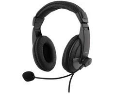 HL-50C Ausinės DELTACO, 40mm elementas, USB-C, garsumo reguliatorius, juodos / HL-50C / 1903683