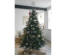 Det Gamle Apotek Dirbtinė Kalėdų eglutė su sutvirtinta viršūne, aukštis 180 cm, skersmuo 122 cm, žalia, vidaus naudojimui, pe/pvc