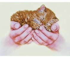 Diamond Dotz 52 x 40 cm - Kačiukas