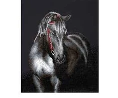 Diamond Dotz 53 x 42 cm - Vidurnakčio eržilo kumpis