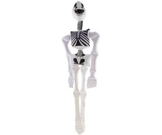 Div Lev Pripučiamas skeletas, 90 cm