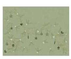 Placemat Bio Dunicel 30 x 40 cm Noel pistachio žalias, 5 pk x 100 vnt./kartonas