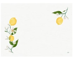 Servetėlės Duni 30x40 cm Lemon Fiesta, 250 vnt./pak.