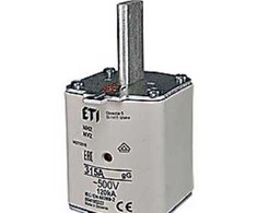 Elteco Nh2 Din2 315A globėjų žiedas -