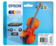 EPSON 6 spalvų 250 rašalo daugiapakė pakuotė
