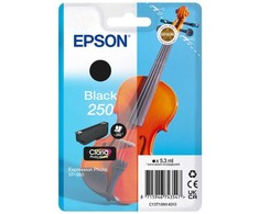Tusz Epson 250 - 5.3 ml - juoda - original - opakowanie blistrowe - kartridż su tuszem - do P/N: C11CL95402