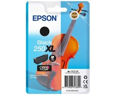 Tusz Epson 250XL - 10.2 ml - XL - juoda - original - opakowanie blistrowe - Tintenpatrone - do P/N: C11CL95402