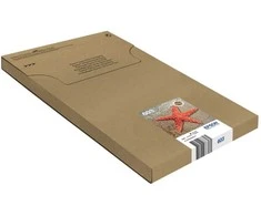 Tusz Epson EPSON daugiapakis 4 spalvų 603 EasyMail