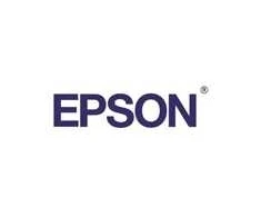 Epson rašalo kasetė Light Juodas T580700