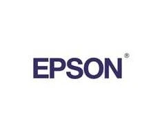 Epson rašalo kasetė Photo Juodas T580100
