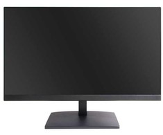 Monitorius Ernitec 22'' (0070-24122-F)