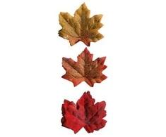 ESPA Rudens lapai 3 x 3 cm