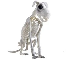 ESPA Šuns skeletas