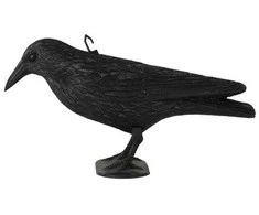 ESPA Apykaklė, 36 cm