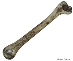ESPA Dirbtinis kaulas, 34 cm