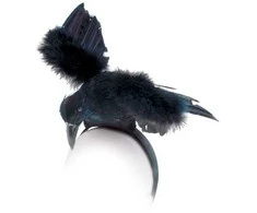 ESPA Raven ant plaukų segtuko