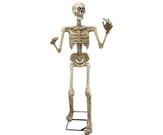 ESPA Skeletas su judesiu, 150 cm