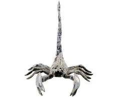 ESPA Skorpiono skeletas, 25 cm