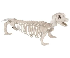 ESPA Takso skeletas