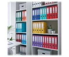 Esselte Nr. 1 svirtinis arkinis segtuvas PP, 30 % perdirbtos folijos, A4, plastikas, raudonas, tekstūruotas paviršius, 500 lapų, 500g/m²