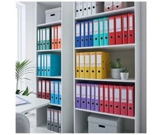 Laikiklis ESSELTE žiedinis segtuvas LAF Nr. 1 PP