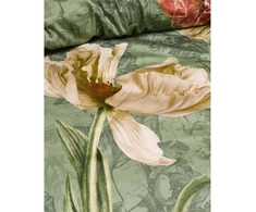 Patalynės komplektas Essenza Annabel Basil 140x220+60x64