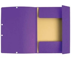 Exacompta 55508E, A4, Violetinė, 250 lapų, 240 mm, 3 mm, 320 mm