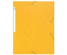 Exacompta 55759E, A4, Kartonas, Geltonas, Portretas, 350 lapų, 425 g/m²