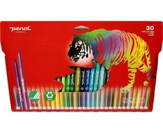 Fiberpen Penol smulkus asortimentas. spalvos (30 vnt. pakuotė)