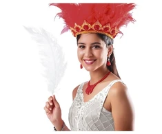 Fiesta Baltos stručio plunksnos 60 cm, 12 vnt.