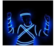 Fiesta Mėlynas LED laidas