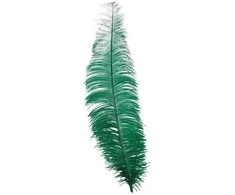 Fiesta Žalios stručio plunksnos 40 cm, 12 vnt.