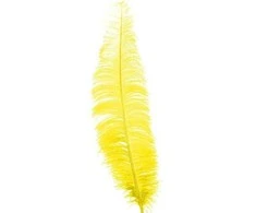 Fiesta Geltonos stručio plunksnos 40 cm, 12 vnt.