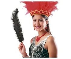 Fiesta Juodos stručio plunksnos 60 cm, 12 vnt.