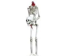 Fiesta Kabantis begalvis skeletas, 37 cm