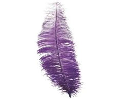 Fiesta Violetinės stručio plunksnos 30 cm, 12 vnt.