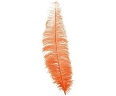 Fiesta Oranžinės stručio plunksnos 40 cm, 12 vnt.