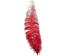 Fiesta Raudonos stručio plunksnos 40 cm, 12 vnt.