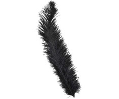 Fiesta Juodos stručio plunksnos 60 cm, 12 vnt.