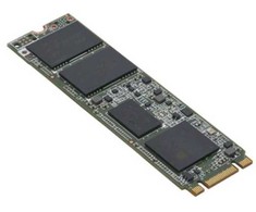 Disko serverio „Fujitsu“ 960 GB PCI-E x4 Gen 4 NVMe (PY-BS96PEA)